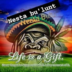 Meet your Posher, Milo